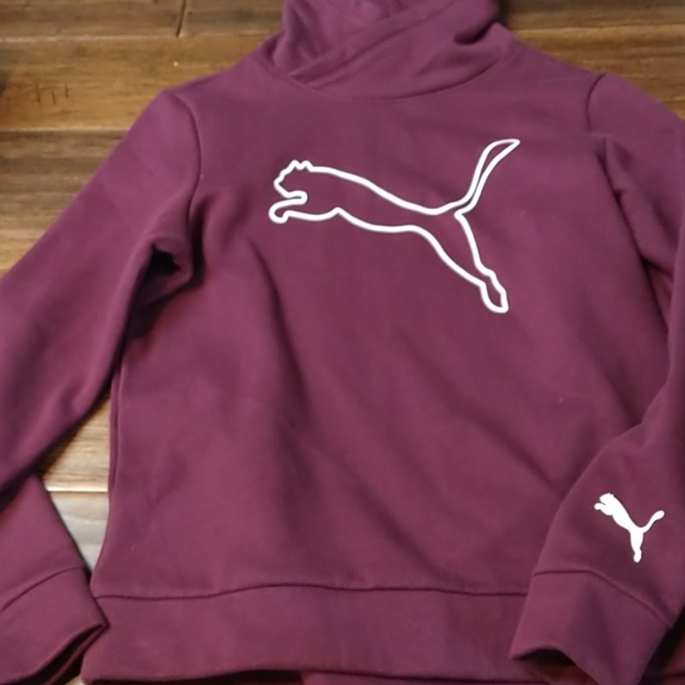 Puma